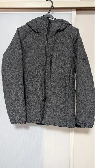 MAMMUT Whitehorn Pro IN 후디드 재킷 남성용
