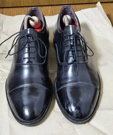 다케오 키쿠치 TAKEO KIKUCHI 가죽 신발 26.5cm