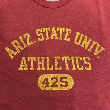 챔피온 80s 리버서블 T셔츠