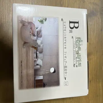 미니 프렌즈 도마뱀 B상 피규어