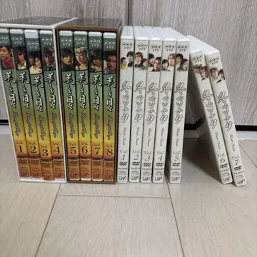 겨울연가, 아름다운 날들 DVD 박스 세트