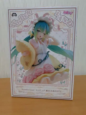 F2198 하츠네 미쿠 Wonderland 피규어 잠자는 숲속의 미녀