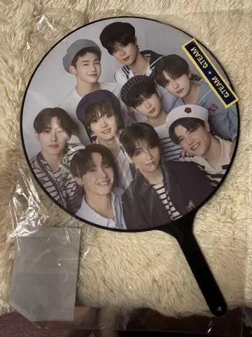 &TEAM 부채