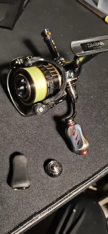 17 daiwa theory 2004