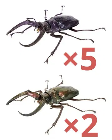 생물대도감 사슴벌레 10 페이스 타메르 주름 날개 사슴벌레