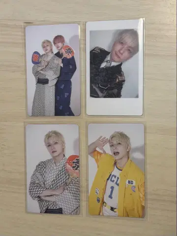 팬더드래곤 트레이딩 카드 하피카 요우타
