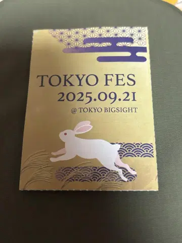 TOKYO FES 2025년 9월 21일 티켓