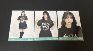 스가와라 사츠키 신궁 라이브t 컴프