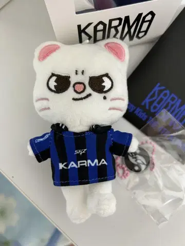 StrayKids KARMA SKZOO 키링 지니레트