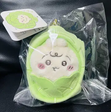 치이카와 Chiikawa Baby 토끼 양배추에 싸인 토끼 마스코트