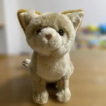 나스 동물 왕국 사막고양이 봉제 인형