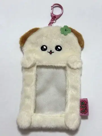 최고심 트레이딩 카드 케이스 강아지 최고심