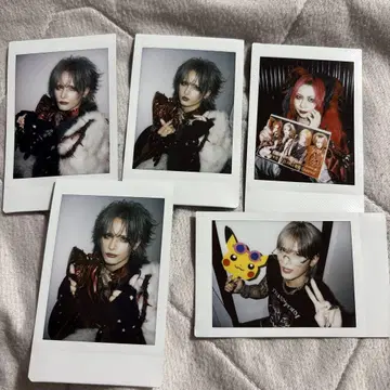 Royz 스바루 코다이 폴라로이드