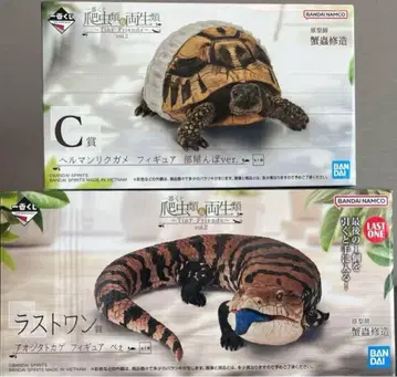 제일복권 파충류&양서류 라스트 원 아오지타 도마뱀 C상 헤르만 육지거북