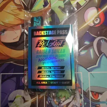 RAISE A SUILEN ZEPP TOUR 패스