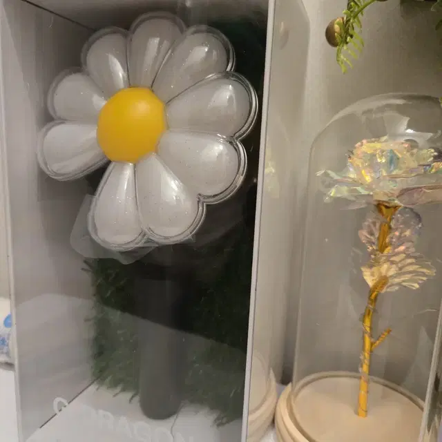 지디 응원봉