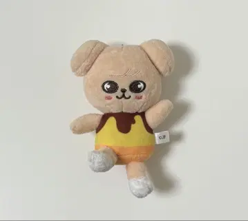 straykids 푸딩 백참 퍼핌 PuppyM