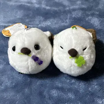 복복 시마연가 컬러풀 플라워 봉제 인형 2세트 ST