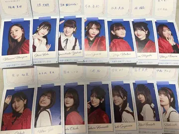 노기 메쿠리 뒤틀림 14장 묶음 판매
