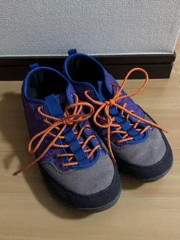 단종 Patagonia Activist