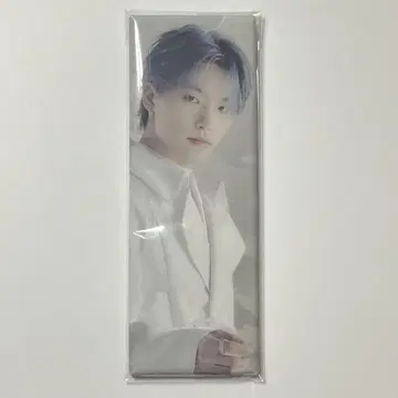 SEVENTEEN 아이노치카라 캔뱃지 디노