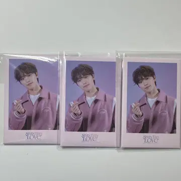 SEVENTEEN LOVE 디노 캔뱃지 묶음 판매