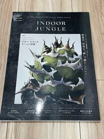 INDOOR JUNGLE 실내정글 No.1