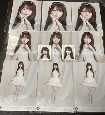 이퀄러브 오타니 에미리 보석 의상 브로마이드 id 사진 세트