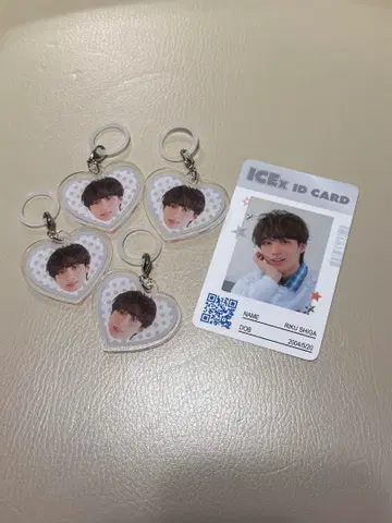 ICEx SPINNS 시가 리쿠 5종 세트