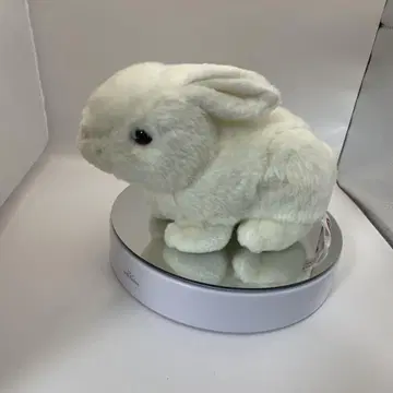 새상품급 토끼 봉제 인형 우에노 동물원