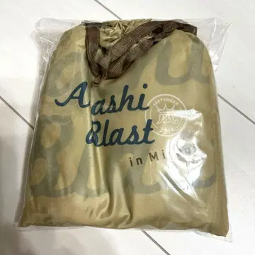 아라시 BLAST in 미야기 레인 판초 레인코트