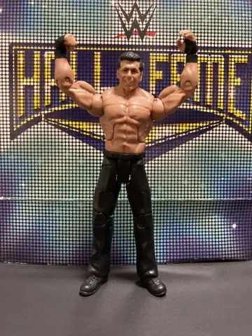 WWE 피규어 프로레슬링 빈스 맥마흔 마텔 엘리트 WWF