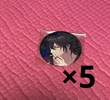 파라라이 캔뱃지 환영 하루오미 x 5