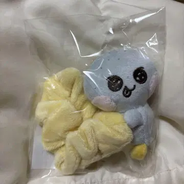 RIIZE 은석 스크런치 선영돌이