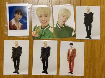 SEVENTEEN 트레이딩 카드 디노