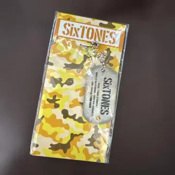 [ 레어 ] SixTONES 2016 소년들 도그택 키링