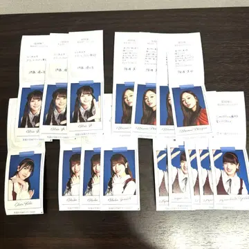 nogi 뒤틀림권 모음 낱개 판매 가능