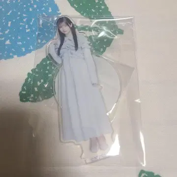 하세가와 히로미 여름 여울 아크릴 스탠드 보쿠아오