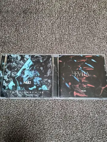 NUL. CD V계 D'espairsRay HIZUMI 앨범