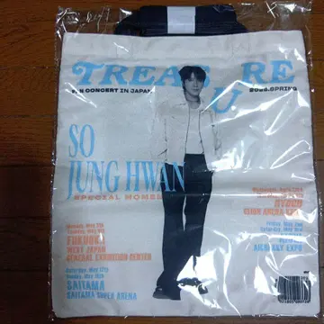 TREASURE 토트백 정환
