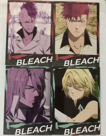 BLEACH 인스턴트 사진풍 브로마이드 하쉬발트 바즈비