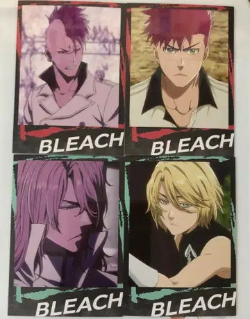 BLEACH 인스턴트 사진풍 브로마이드 하쉬발트 바즈비