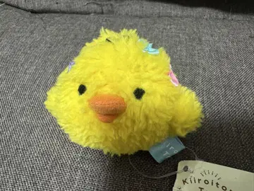 키이로이토이토립 모코모코 리본 테노리 봉제 인형