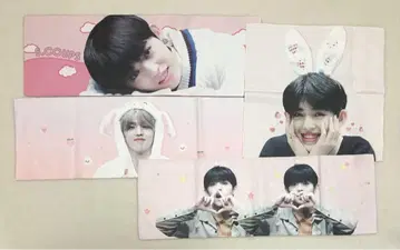 SEVENTEEN 에스쿱스 슬로건 4장 세트