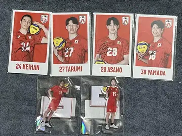 모바가챠 남자 일본 대표 배구