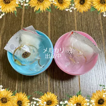 우리 아이 털뭉치 샴 & 노멀