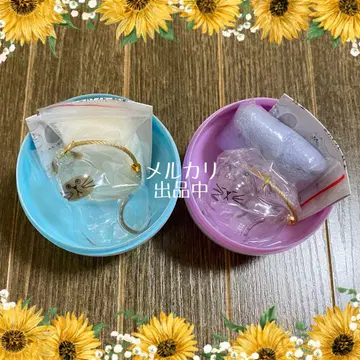 우리 집 고양이 털뭉치 샴 & 고등어태비