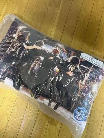 새상품 GLAY 30th 엔터테인먼트 복권 라스트 원상 BIG 쿠션