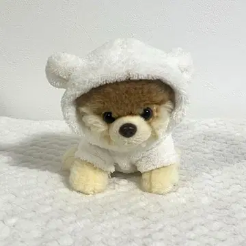 건드 GUND Boo 베어 수트 포메라니안 봉제 인형
