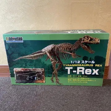 초특대형 티라노사우루스 골격 모형 피규어 약 92cm T-REX 동우사
